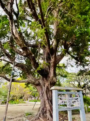 宝戒寺(神奈川県)