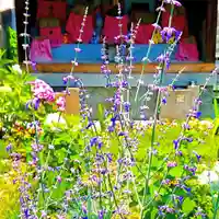 寿量山 速成寺の自然