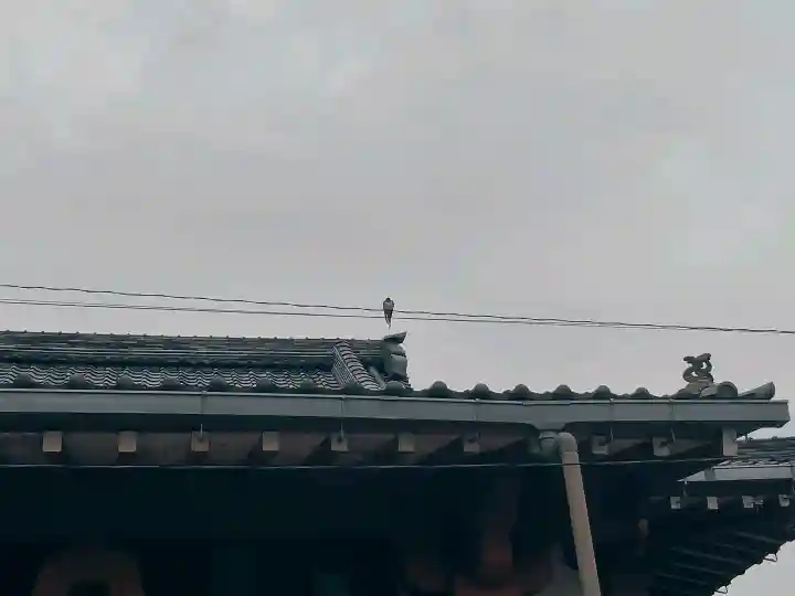 真性寺の{uncategorized: "未分類", other: "その他", undefined: "問題あり", building: "その他建物", grave: "お墓", sacred_gate: "鳥居", guardian: "狛犬", statue: "像", buddha: "仏像", history: "歴史", nature: "自然", garden: "庭園", animal: "動物", pagoda: "塔", temizu: "手水舎", mountain_gate: "山門・神門", sanctuary: "本殿・本堂", subordinate: "末社・摂社", art: "芸術", scenery: "景色", jizo: "地蔵", ema: "絵馬", goshuin: "御朱印", omikuji: "おみくじ", items: "授与品その他", amulet: "お守り", goshuincho: "御朱印帳", eats: "食事", festival: "お祭り", votive_dance: "神楽", shichigosan: "七五三参", wedding: "結婚式", experience: "体験その他", initially: "初詣", around: "周辺", anti_infection: "感染症対策"}
