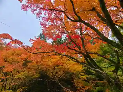 千如寺大悲王院(福岡県)