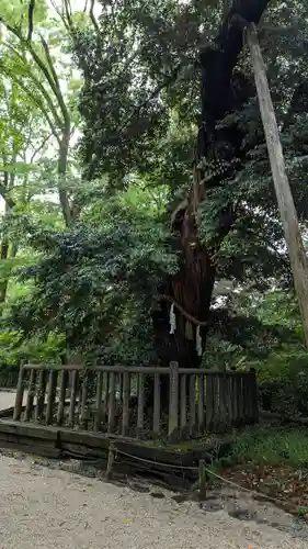 賀茂御祖神社（下鴨神社）(京都府)