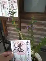 妙蓮寺(神奈川県)