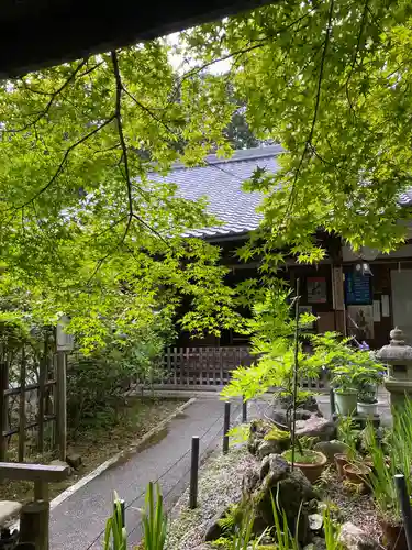 十輪寺の本殿・本堂