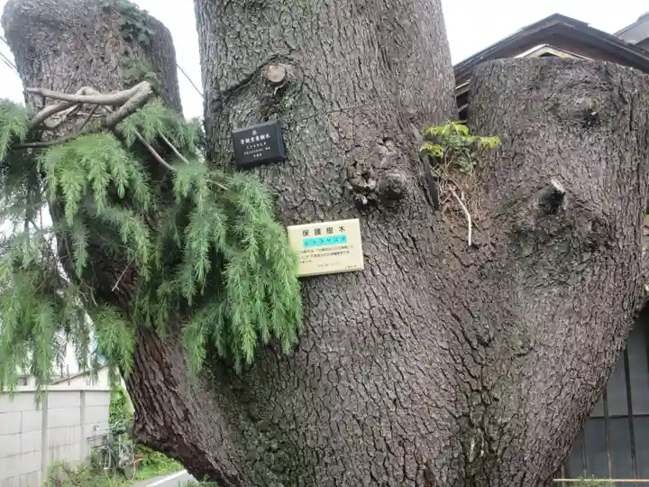 妙行寺(東京都)