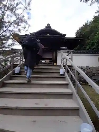 高台寺（高台寿聖禅寺・高臺寺）(京都府)