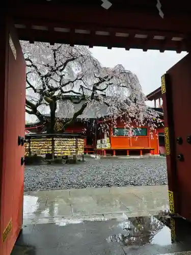 富士山本宮浅間大社の{uncategorized: "未分類", other: "その他", undefined: "問題あり", building: "その他建物", grave: "お墓", sacred_gate: "鳥居", guardian: "狛犬", statue: "像", buddha: "仏像", history: "歴史", nature: "自然", garden: "庭園", animal: "動物", pagoda: "塔", temizu: "手水舎", mountain_gate: "山門・神門", sanctuary: "本殿・本堂", subordinate: "末社・摂社", art: "芸術", scenery: "景色", jizo: "地蔵", ema: "絵馬", goshuin: "御朱印", omikuji: "おみくじ", items: "授与品その他", amulet: "お守り", goshuincho: "御朱印帳", eats: "食事", festival: "お祭り", votive_dance: "神楽", shichigosan: "七五三参", wedding: "結婚式", experience: "体験その他", initially: "初詣", around: "周辺", anti_infection: "感染症対策"}