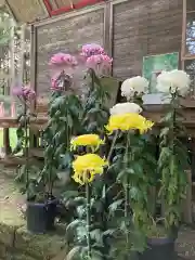 大宮温泉神社の自然