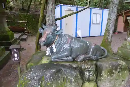 石上神宮の狛犬