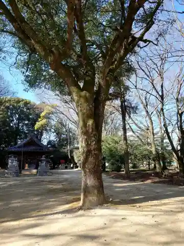 八幡宮(愛知県)