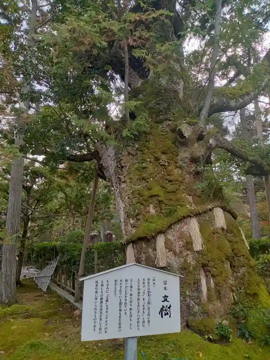 智恩寺(京都府)
