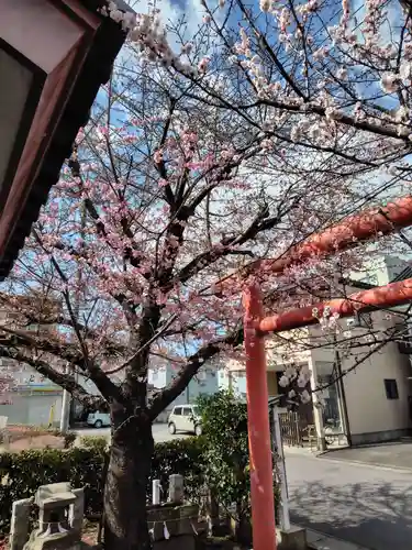 孫太郎神社(栃木県)
