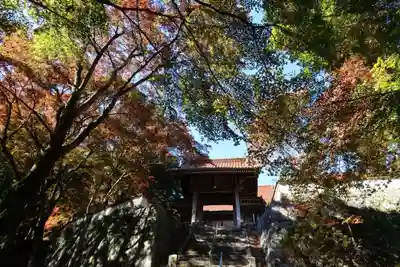 西念寺(山口県)