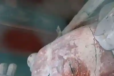 法華寺(静岡県)