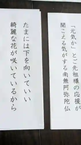 普元寺の{uncategorized: "未分類", other: "その他", undefined: "問題あり", building: "その他建物", grave: "お墓", sacred_gate: "鳥居", guardian: "狛犬", statue: "像", buddha: "仏像", history: "歴史", nature: "自然", garden: "庭園", animal: "動物", pagoda: "塔", temizu: "手水舎", mountain_gate: "山門・神門", sanctuary: "本殿・本堂", subordinate: "末社・摂社", art: "芸術", scenery: "景色", jizo: "地蔵", ema: "絵馬", goshuin: "御朱印", omikuji: "おみくじ", items: "授与品その他", amulet: "お守り", goshuincho: "御朱印帳", eats: "食事", festival: "お祭り", votive_dance: "神楽", shichigosan: "七五三参", wedding: "結婚式", experience: "体験その他", initially: "初詣", around: "周辺", anti_infection: "感染症対策"}