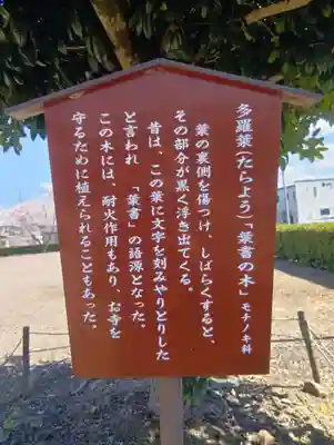 大梅寺(岐阜県)