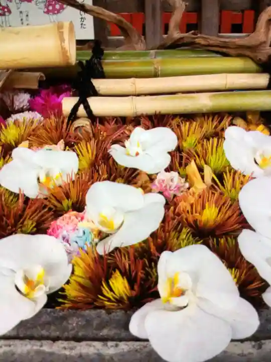 下谷神社(東京都)