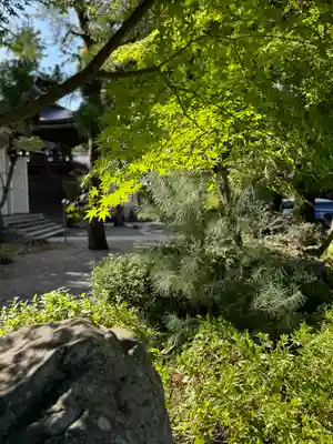 多賀大社(滋賀県)