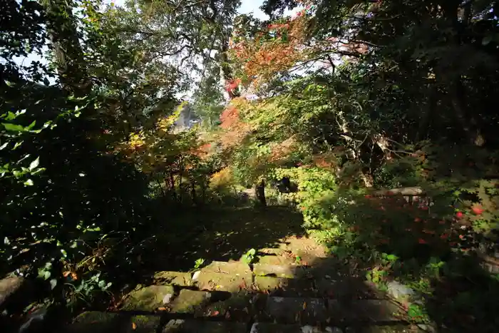 岩屋寺の建物その他