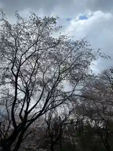 大宮温泉神社(栃木県)(2023年03月29日(水) 23時57分32秒投稿)