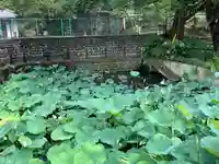 長林寺(西宮長林寺)の自然