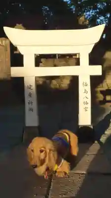 福島八幡宮(福岡県)