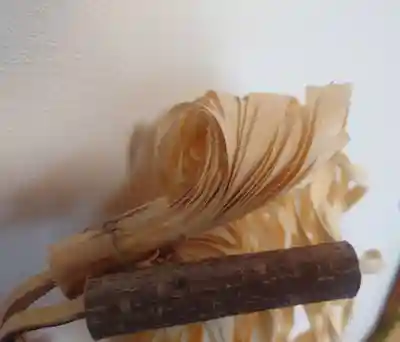 入間川大国神社(埼玉県)