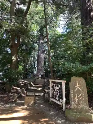 麻賀多神社(千葉県)