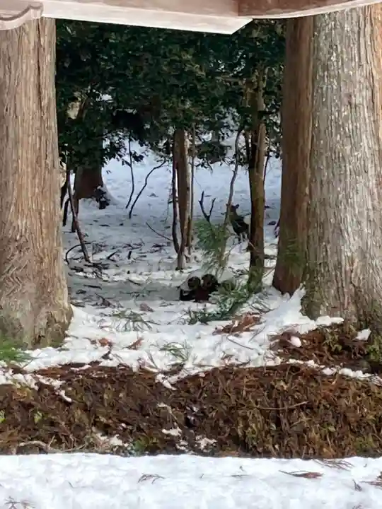 御形神社(兵庫県)