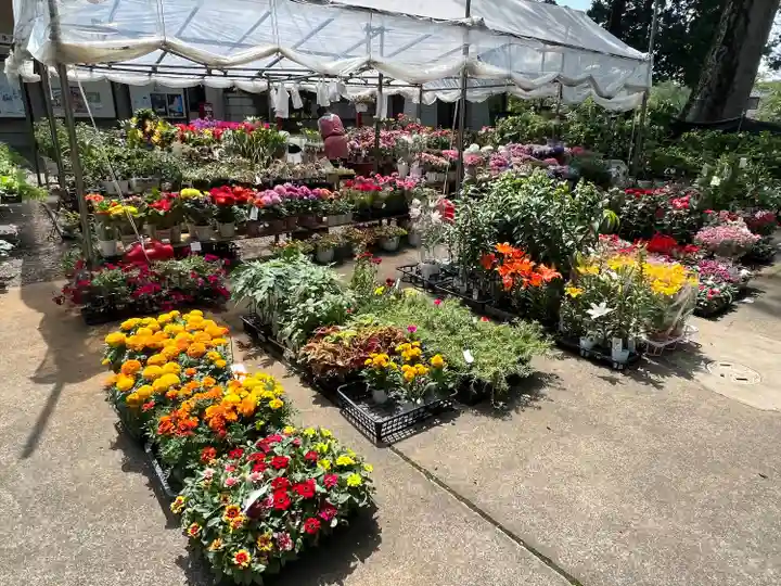 一言主神社(茨城県)