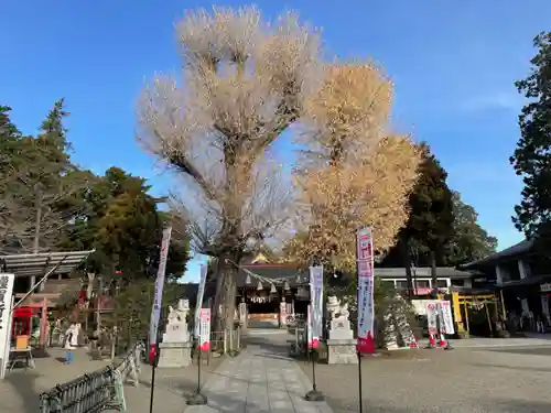 亀ケ池八幡宮(神奈川県)