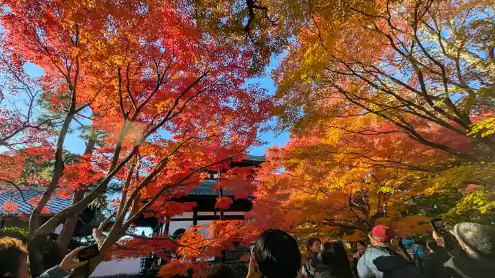 東福禅寺(東福寺)(京都府)