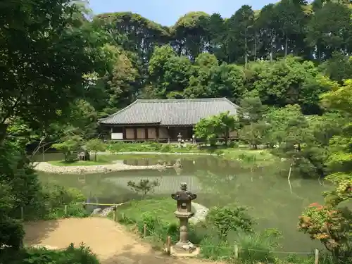 浄瑠璃寺の庭園