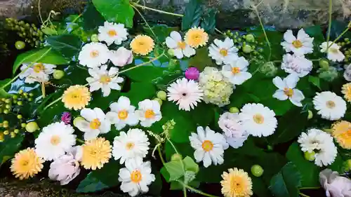 柳津虚空蔵尊 寳性院(宮城県)
