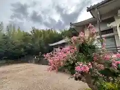 聖徳寺の自然