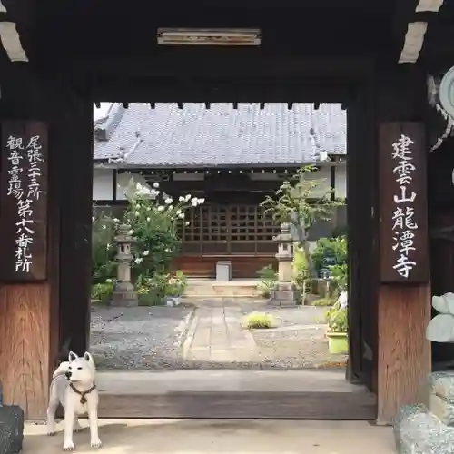 龍潭寺の山門