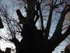 素鵞熊野神社の自然