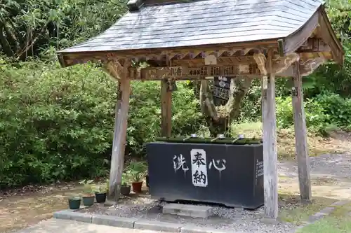 清滝寺の手水舎