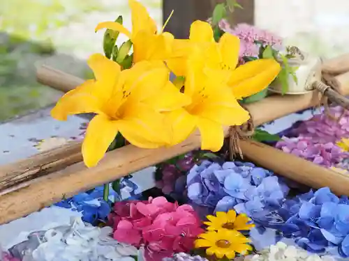 今市報徳二宮神社の手水舎