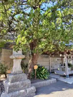 下田八幡神社(静岡県)