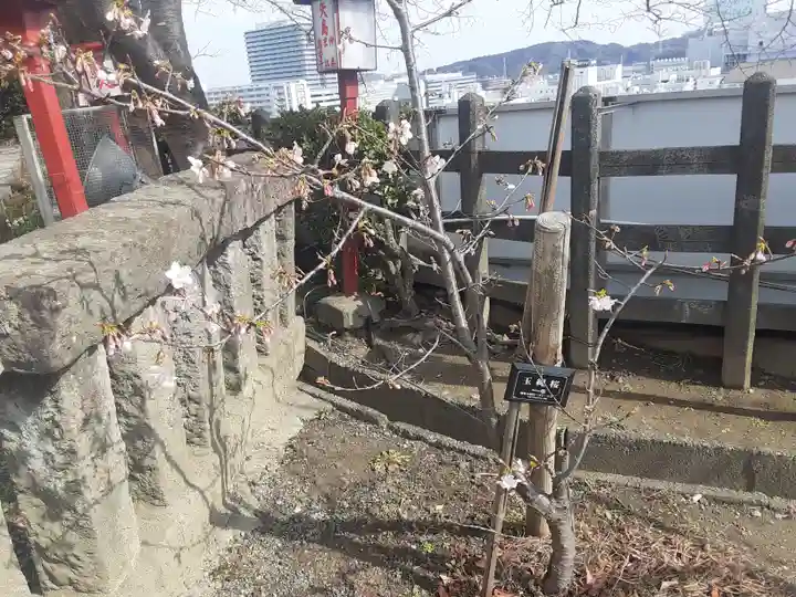 大船観音寺(神奈川県)