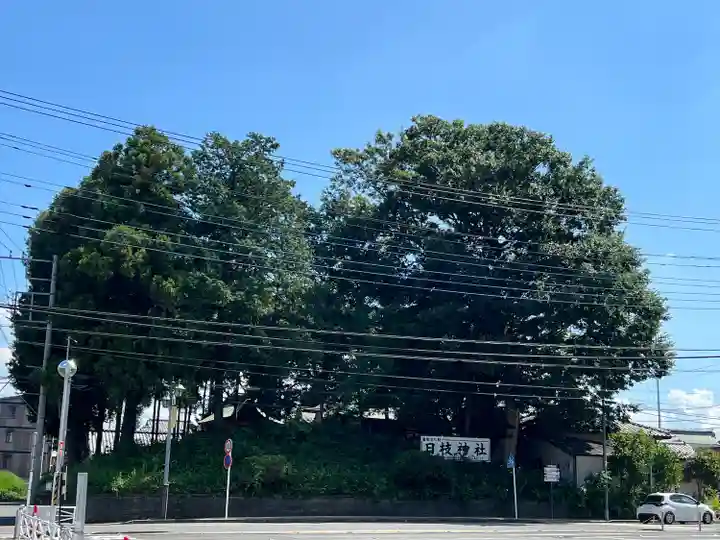 日枝神社(埼玉県)