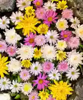 伊達神社の手水舎