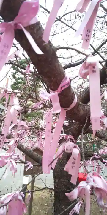 桜神宮のその他建物
