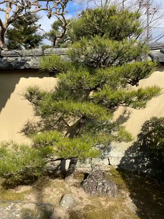 大光院(京都府)