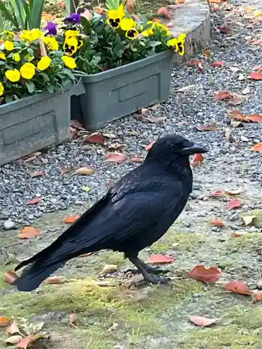 若宮神明社(愛知県)