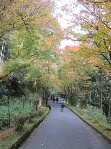 延暦寺横川中堂(滋賀県)