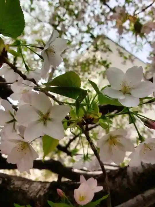 麻布氷川神社(東京都)