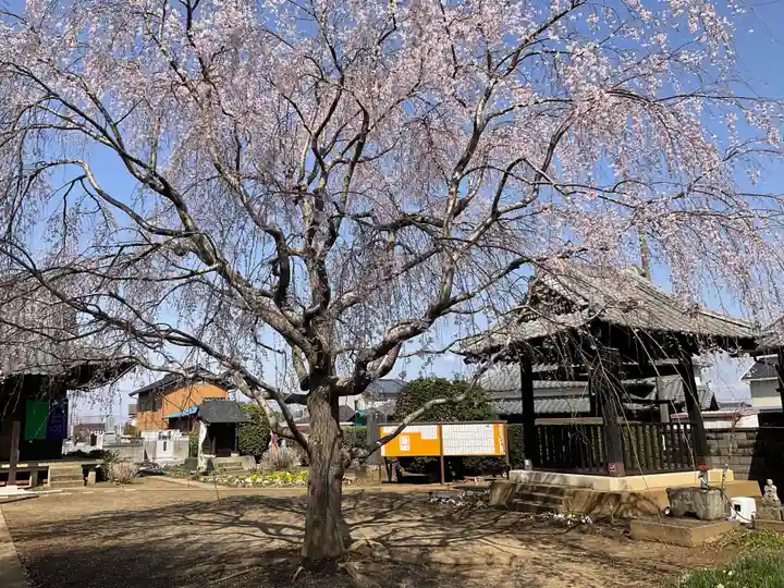 長谷寺(茨城県)