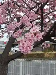 西方山極楽寺(岐阜県)