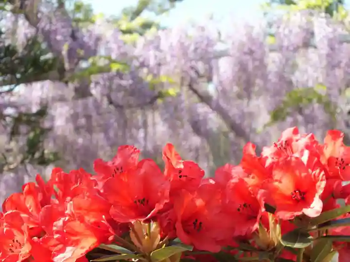 三大神社のその他建物